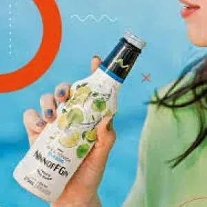 BEBIDA ALCOOLICA  VODK TEA  WE. MIX MELANCIA E HORTELA C/ CHA VERDE 275ML
