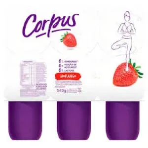 IOGURTE DANONE CORPUS POLPA PEDACOS MORANGO 540GR