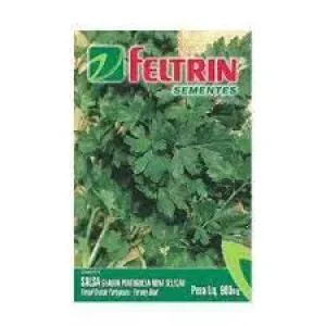 SEMENTE FELTRIN COENTRO VERDAO SF177 25UN