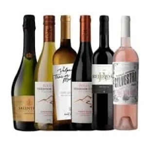 VINHO TINTO SIN REGLAS MELBEC  750ML