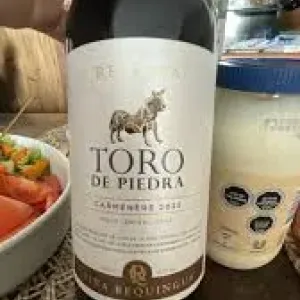VINHO RESERVA TORO DE PIEDRA CARMENERE 2023 750ML