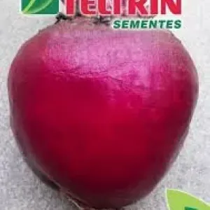 SEMENTE FELTRIN BETERRABA KATRINA 25UN
