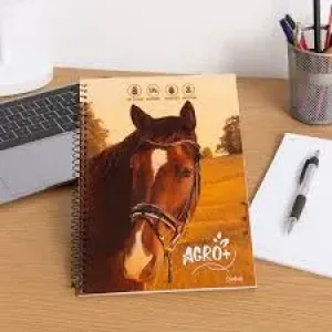 CADERNO CD CREDEAL AGRO + 80F 1M