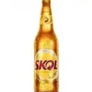 CERVEJA SKOL 600ML