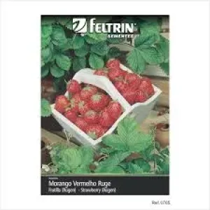 SEMENTE FELTRIN MORANGO VERMELHO RUGE 20UN