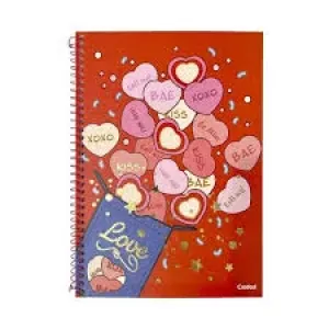CADERNO CD CREDEAL LOVE 96F 1M