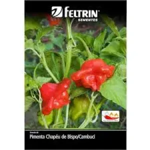 SEMENTE FELTRIN PIMENTA CHAPEU DE BISPO 25UN