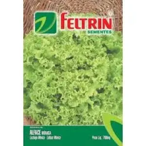 SEMENTE FELTRIN ALFACE MONICA SF31
