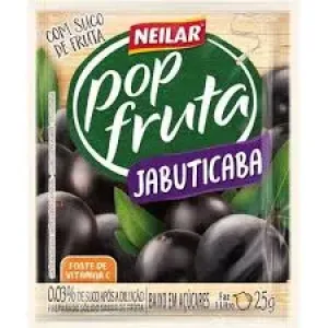 PUDIM APTI SORTIDO 40GR
