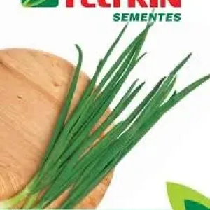 SEMENTE FELTRIN CEBOLINHYA T.A EVER. GREEN 25UN