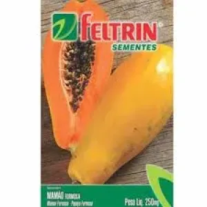 SEMENTE FELTRIN MAMAO FORMOSA 25UN