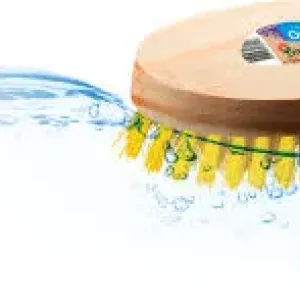 ESCOVA PRIMAVERA OVAL COD 021