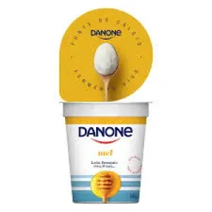 IOGURTE DANONE MEL 160GR