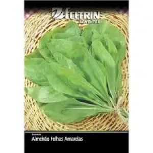 SEMENTE FELTRIN ALMEIRAO FOLHAS AMARELAS RTA 25UN