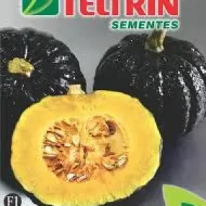 SEMENTE FELTRIN ABOBORA HIROKO 25UN