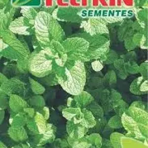SEMENTE FELTRIN HORTELA OU MENTA PIPERITA 20UN