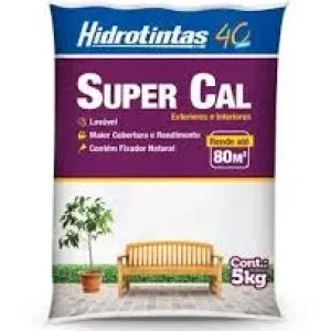 SABAO MECANICO ABRASIVO GRAN BRILHO 750G