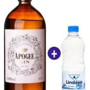 GIN MURDOCKS DRY 900ML