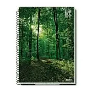 CADERNO  CREDEAL 200MMX275MM 80 FOLHAS