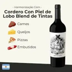 VINHO MENDOZA ARGENTINA CORDERO CON PIEL DE LOBO TINTO DE TINTAS 2024 750ML