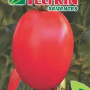 SEMENTE FELTRIN TOMATE BARTO 25UN