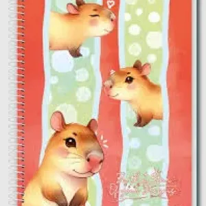 CADERNO CD CREDEAL LALA PETS  80 FOLHAS