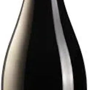 VINHO RESERVA TORO DE PIEDRA PINOT NOIR 2023 750ML